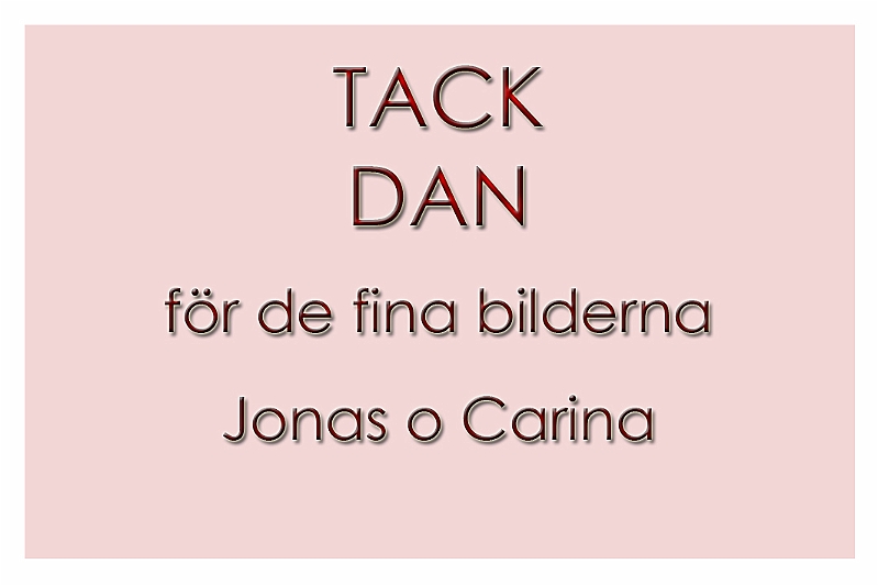 1_tack_dan.jpg