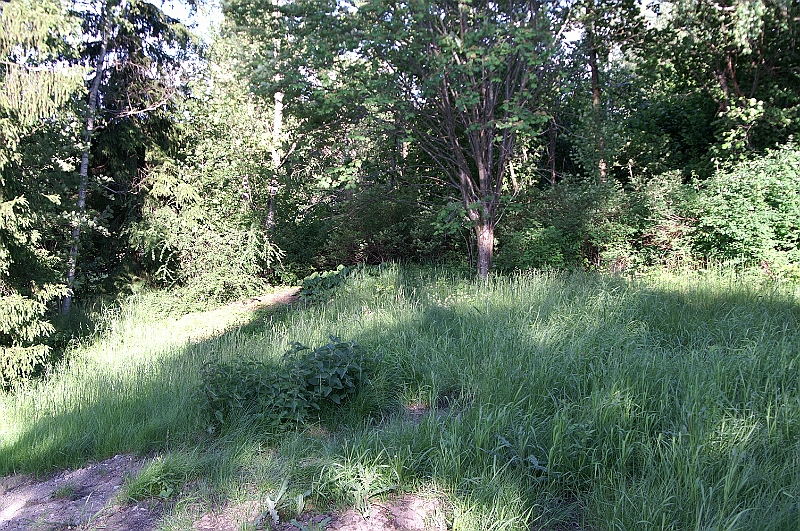 PICT5982.JPG