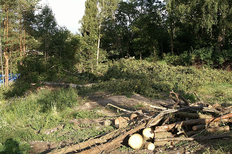 PICT8469.JPG