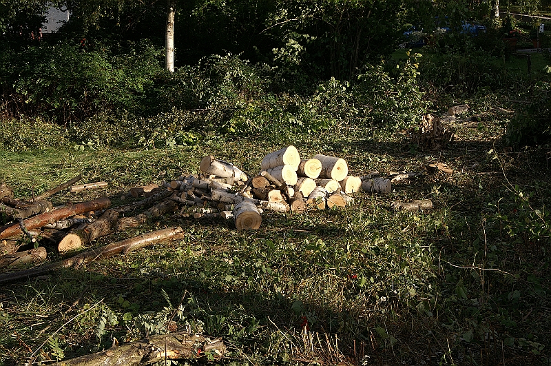 PICT8471.JPG