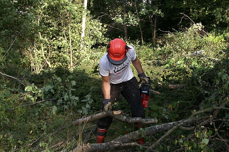 PICT8484.JPG